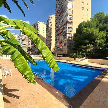 Don Miguel I-2 Daire Benidorm Dış mekan fotoğraf